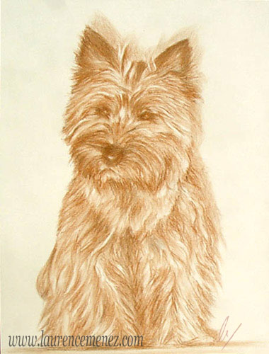 Retour aux portraits portrait à la sanguine sur commande