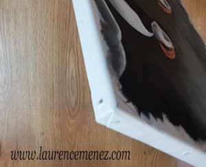 Macareux 212