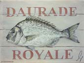 Daurade Royale